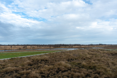 3-2025-Bargerveen-Hennie-Haan-l-Open-besloten-tegenstelling-797