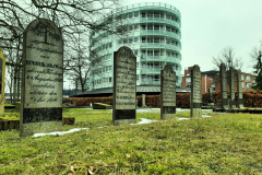Arends-Bert-1-stilte-in-de-stad