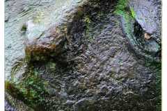 Vis-Cindy-Chantal-Detail