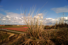 004_Sint-Maartenszee
