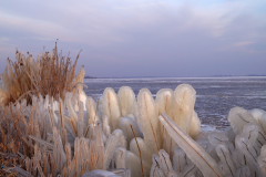 008ps_Gooimeer-ijs