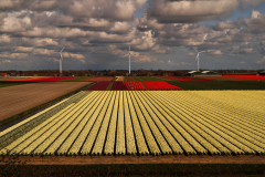 077_Sint-Maartenszee