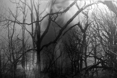 Mysterieus