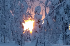 02-Lapland-in-de-middag