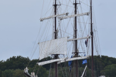 04-Sail-In-Amsterdam-20-08-2025