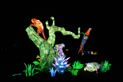 DSC03899-1