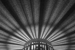 Bart-Verdonk