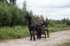 paard-en-wagen