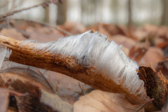 DSC00951_2400x1800