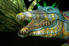 DSC01306_2400x1800