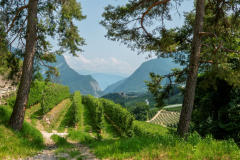 2023-Trento-I