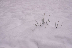 2026-minimalisme-sneeuw
