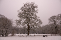 2026-sneeuwboom
