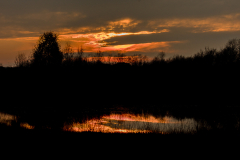 Bargerveen-1-van-1
