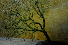 decoratief-1-van-1