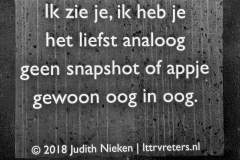 in-een-Leeuwarder-straatje