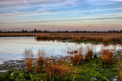 ©IB2025-Avond-landschap