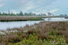 Bargerveen