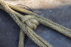 Knoop