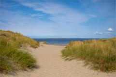 Texel