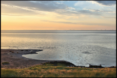 Dollard-zonsopkomst-met-zeehonden