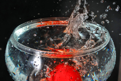 splash-2