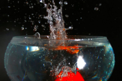 splash-3