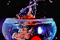 splash-5