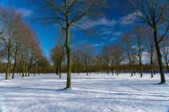 Lijnen-in-de-sneeuw