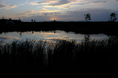 Bargerveen-bij-zonsondergang