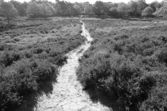 Een-Historische-pad-door-de-Heide
