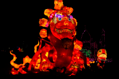 Geluks-Draak-China-Lights