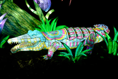 Krokodil-China-Lights