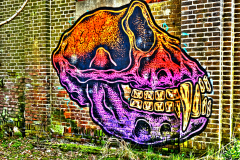 Urbex-in-HDR
