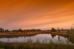 bargerveen1