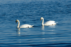 lammertkl.talens13122024-19