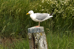 lammertkl.talens13122024-5