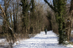 winterwandeling-in-orvelte