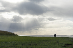 Hennie-Haan