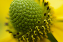 P8300123
