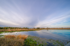 Bargerveen