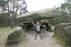 Hunebedbouwer