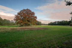 de-Klencke