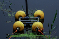 6bollen-