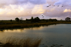 Bargerveen