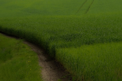 Duits-groen