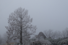 mist