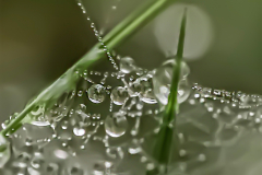 regenketting