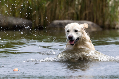 Otis-waterpret