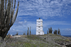 Bonaire-National-Park-2